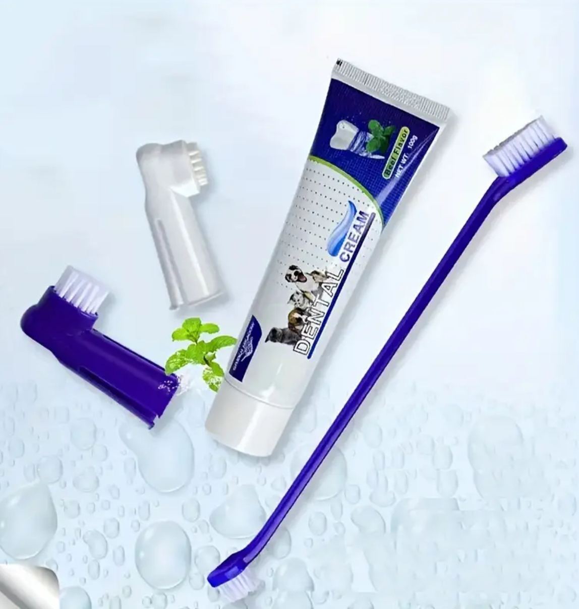 Complete Dental Care Kit